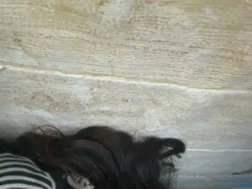 Asiankitties  live sex cam