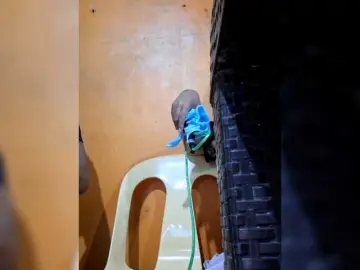 MariaLeteciaFilipina  live sex cam