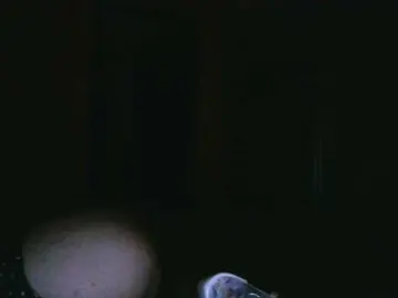 Allenfornow  live sex cam