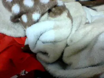 Clarah1  live sex cam