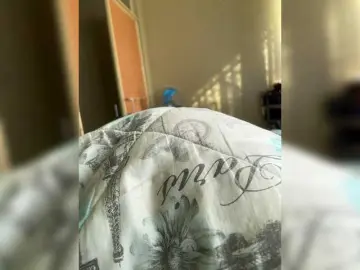 BigBootyBrie01  live sex cam