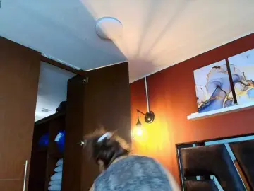 DacotaAndersonDirty  live sex cam