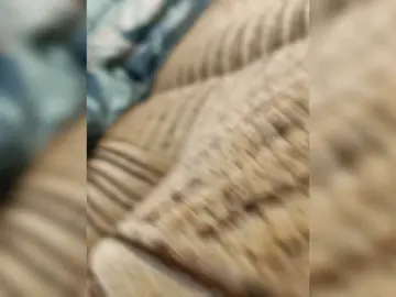 Bomba12zxc  live sex cam