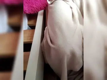 Misscreamerr  live sex cam