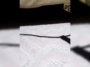 Misscreamerr  live sex cam