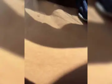 1sweetasian  live sex cam