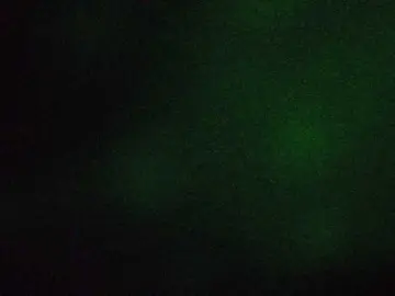 Thesssavannah  live sex cam