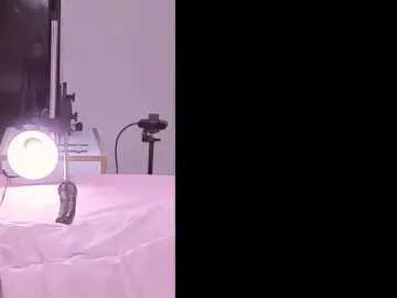 Zam-ceretti  live sex cam