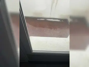 -EmilyBaby-  live sex cam