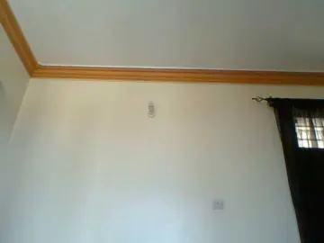 Harujuku  live sex cam