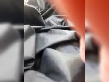 LittleSammy  live sex cam
