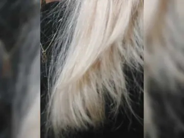 LittleSammy  live sex cam