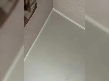 LynnMonica  live sex cam