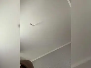 LynnMonica  live sex cam