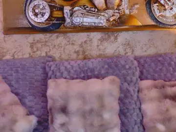 Amynaxxx  live sex cam