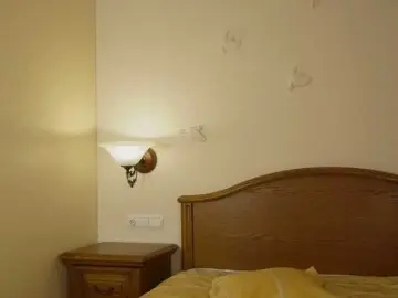 MirrorLady  live sex cam