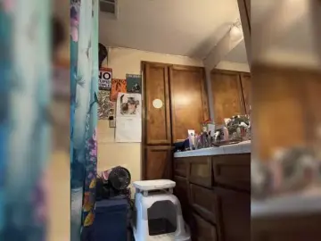 Prurient-Gem  live sex cam