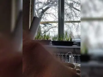 MissReborn  live sex cam