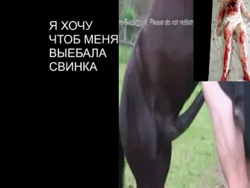 PolinaMayner  live sex cam