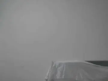 Sandyforyou  live sex cam