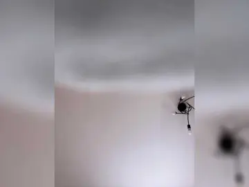 Alicedoll7  live sex cam
