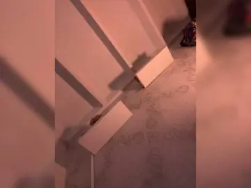 SallyeLeins  live sex cam