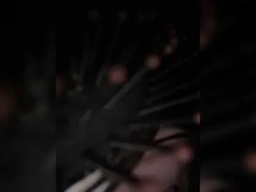 SallyeLeins  live sex cam