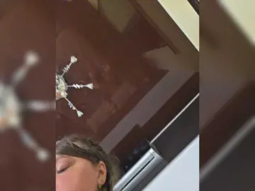 HairyCrotch  live sex cam