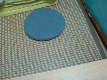 Anamis  live sex cam