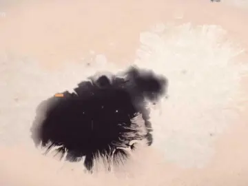 Taanni  live sex cam