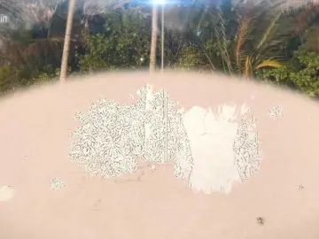 Taanni  live sex cam