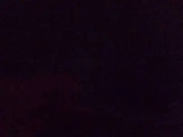 SpicyHailey88  live sex cam