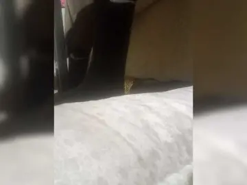 Juanitamami  live sex cam