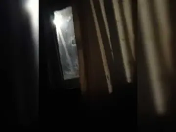 Taynya  live sex cam