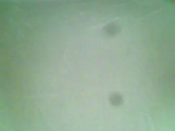 Chaimah  live sex cam