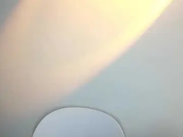 Lanerb  live sex cam