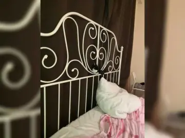 LolaMin  live sex cam