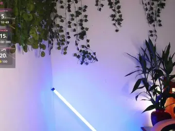 Ariana-Sunset  live sex cam