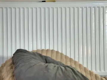 Curvyana  live sex cam