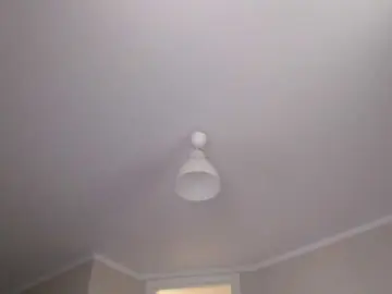 Pizzahubb  live sex cam