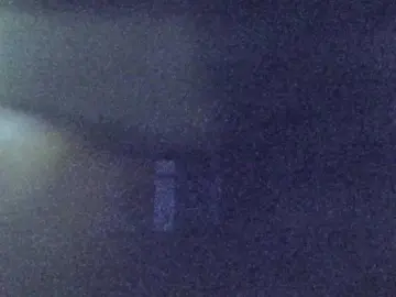 Pizzahubb  live sex cam
