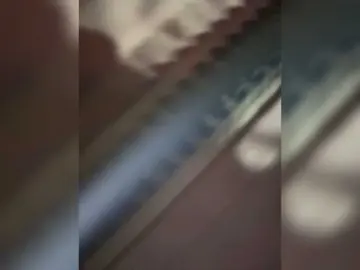 Pizzahubb  live sex cam
