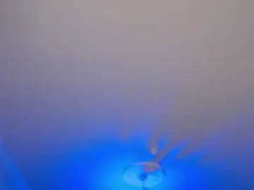 Pizzahubb  live sex cam
