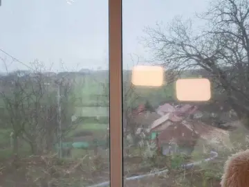 Ellaxxxstar  live sex cam