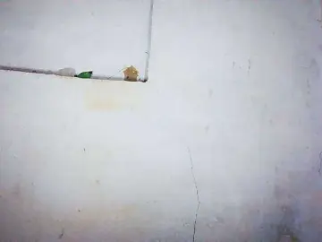 Honey699  live sex cam