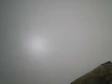 Spiceynelly  live sex cam