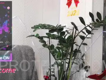 WickedButShy  live sex cam