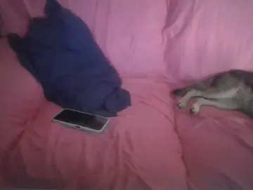 Secretsky  live sex cam