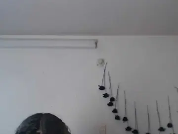 Sloppytitss  live sex cam