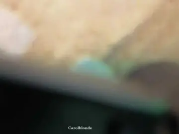 Charlotte-glasses  live sex cam